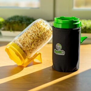 Fényzárózsák csíráztató edényhez